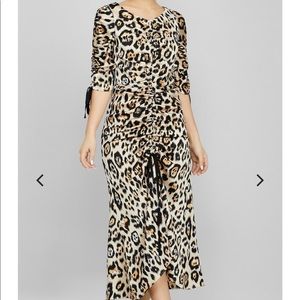 Leopard Print Dress